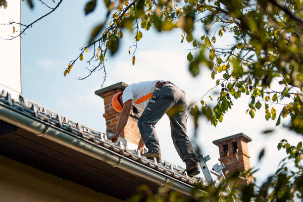 Best Gutter Installation and Roofing  in Dorr, MI