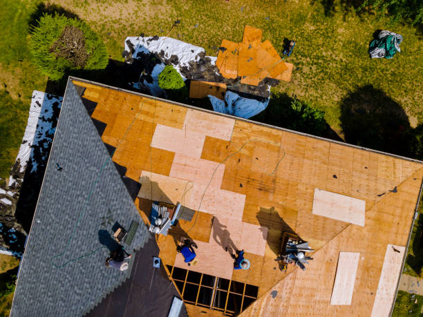 Best Flat Roof Repair Services  in Dorr, MI