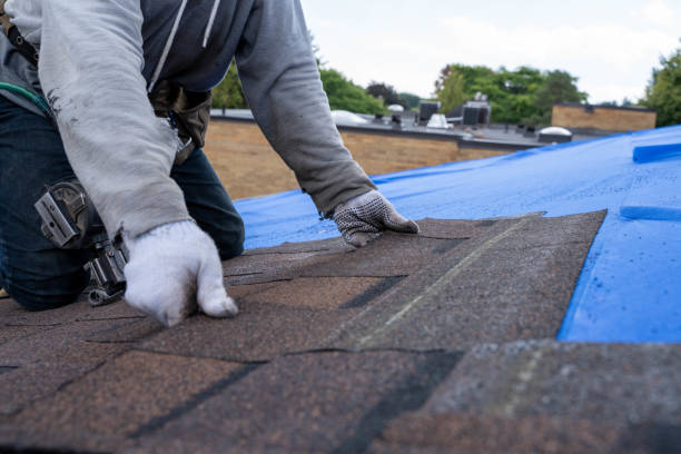 Professional Roofing Contractor in Dorr, MI