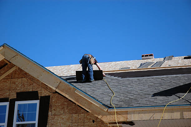 Roof Gutter Cleaning in Dorr, MI