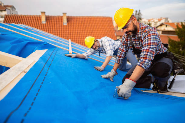 Best Roof Gutter Cleaning  in Dorr, MI