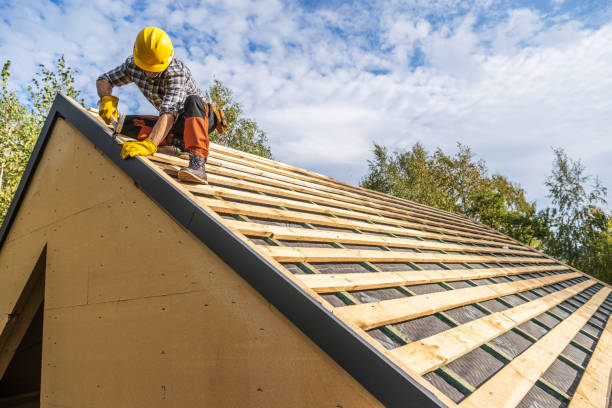 Best Best Roofing Contractors  in Dorr, MI