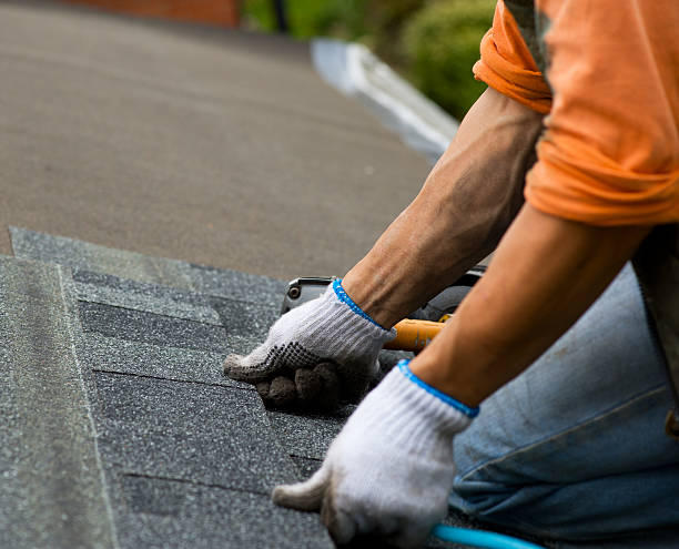 Best Metal Roofing Contractor  in Dorr, MI