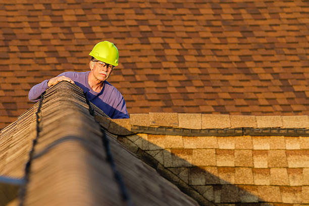 Best Roof Inspection Near Me  in Dorr, MI