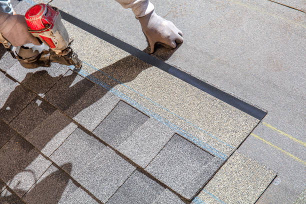 Best Tile Roofing Contractor  in Dorr, MI